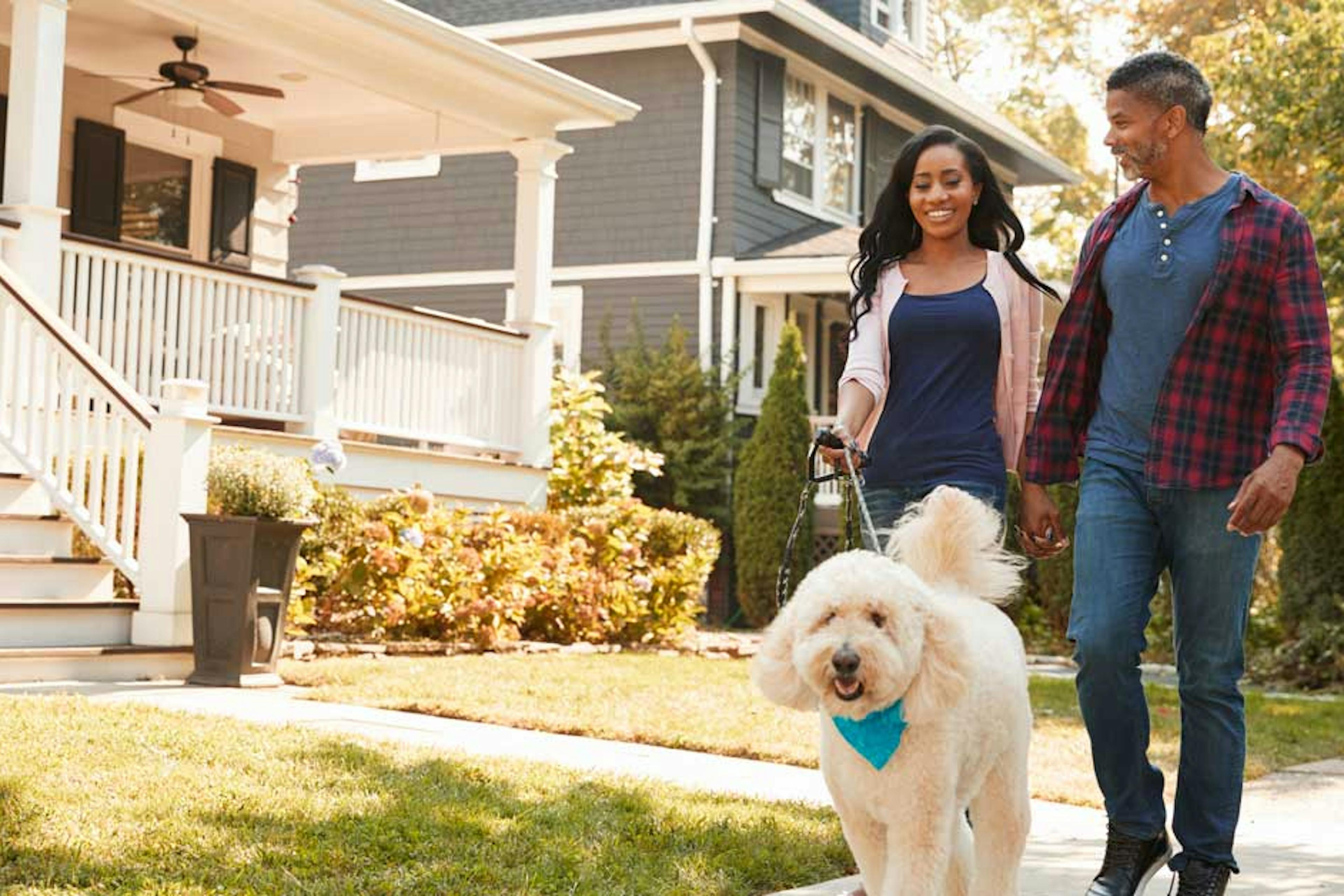 Happy couple walking a dog