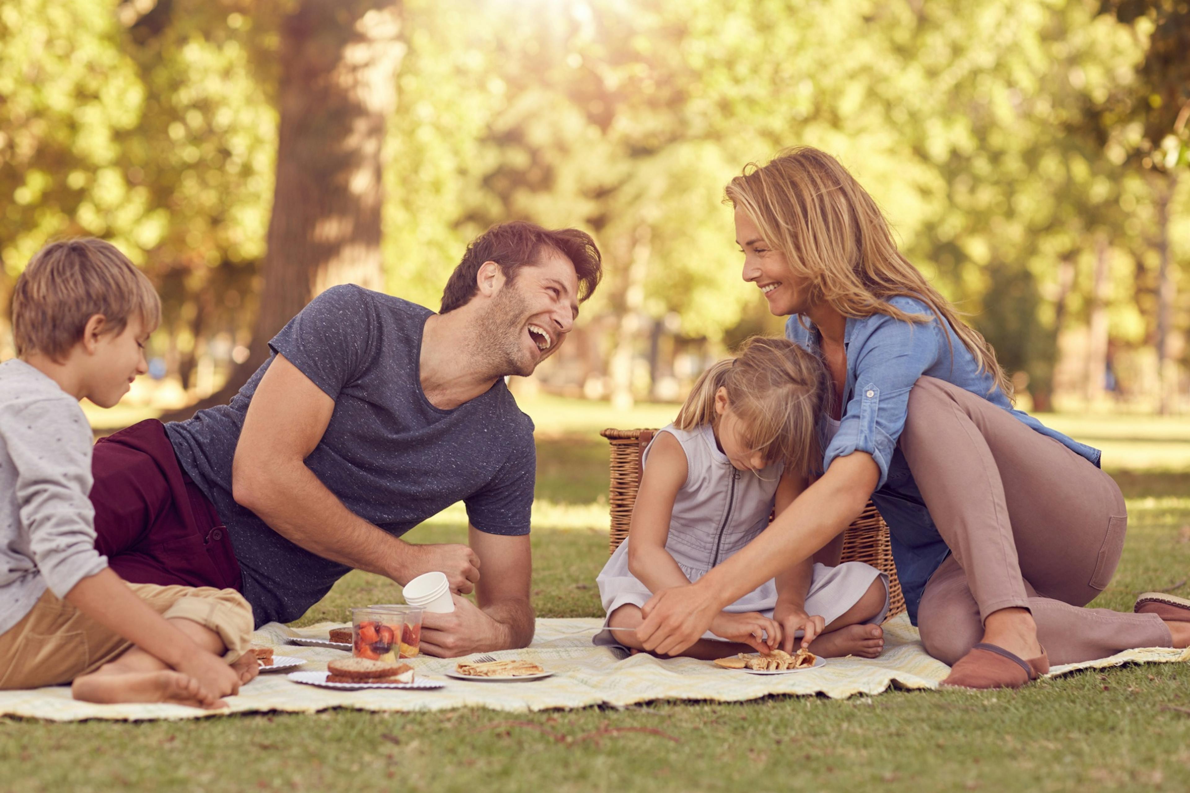 Happy family on picnic