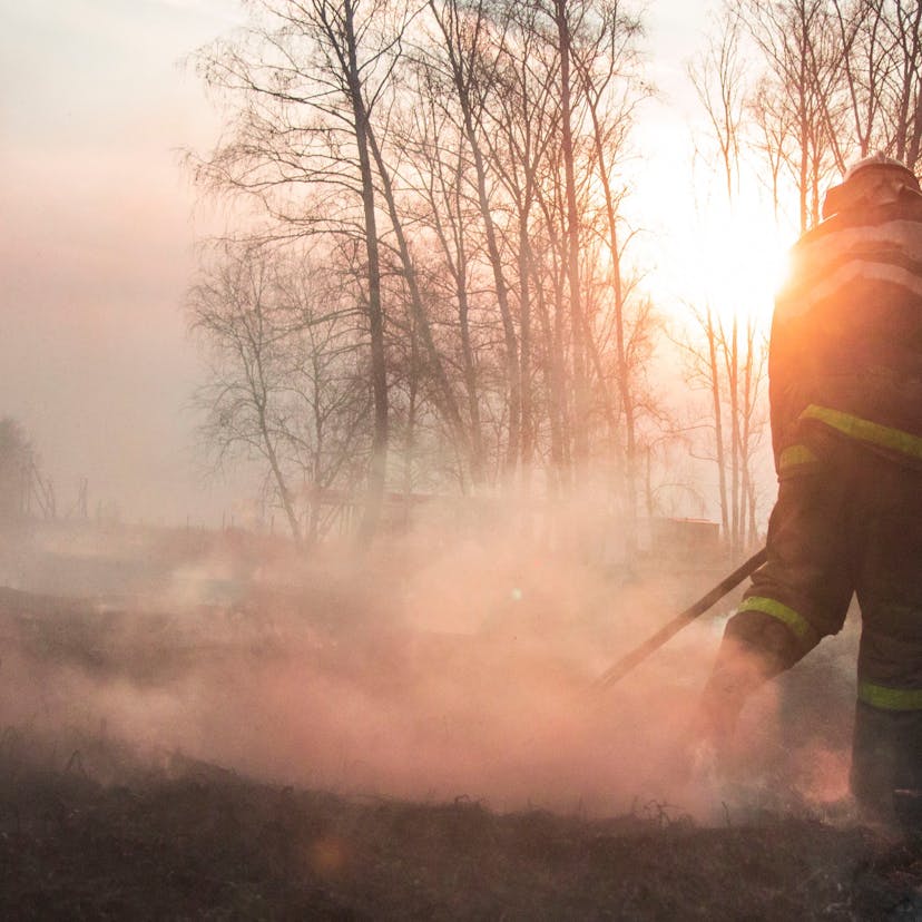 Raging Forest Fire