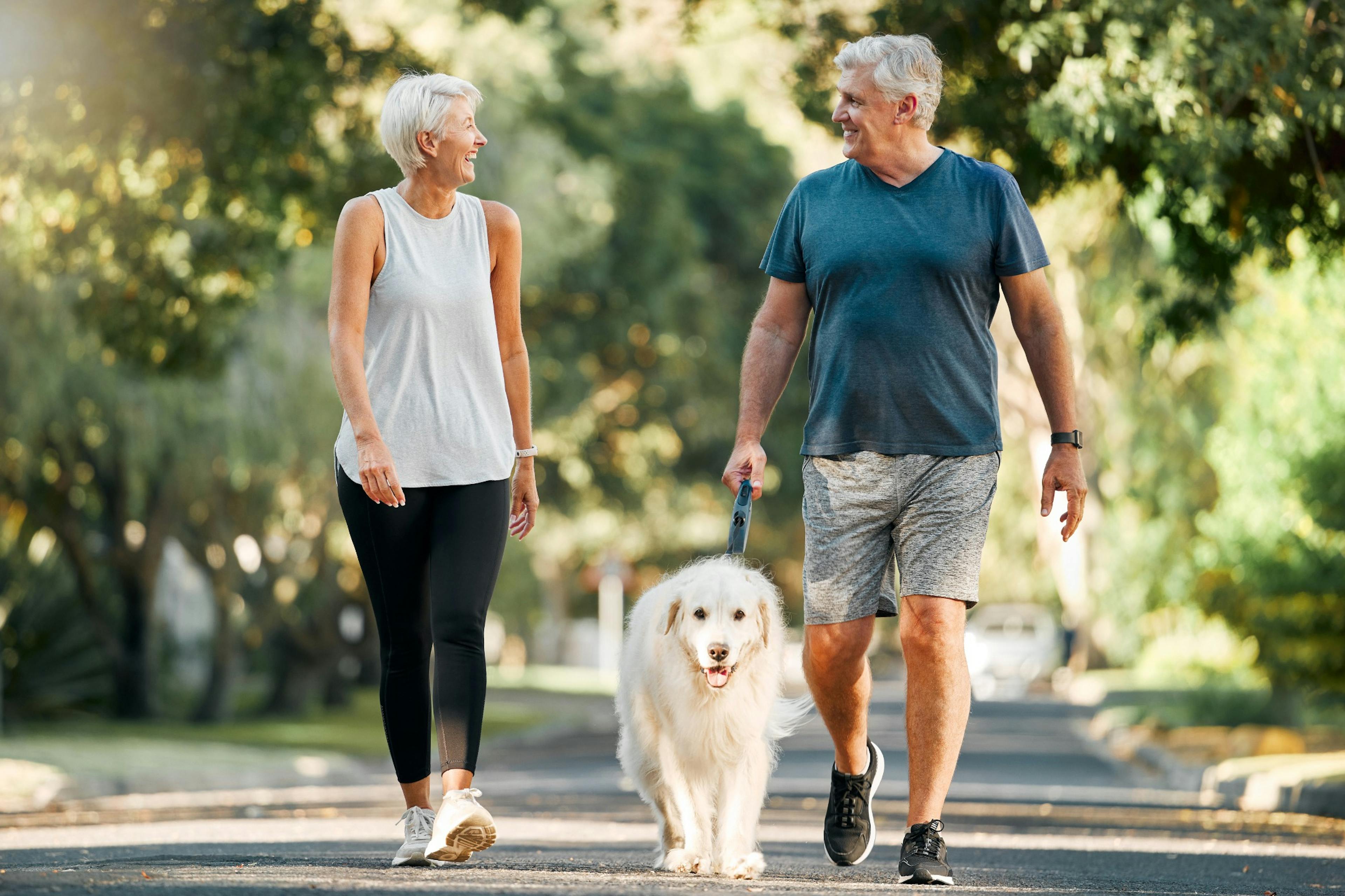 middle age couple walks dog