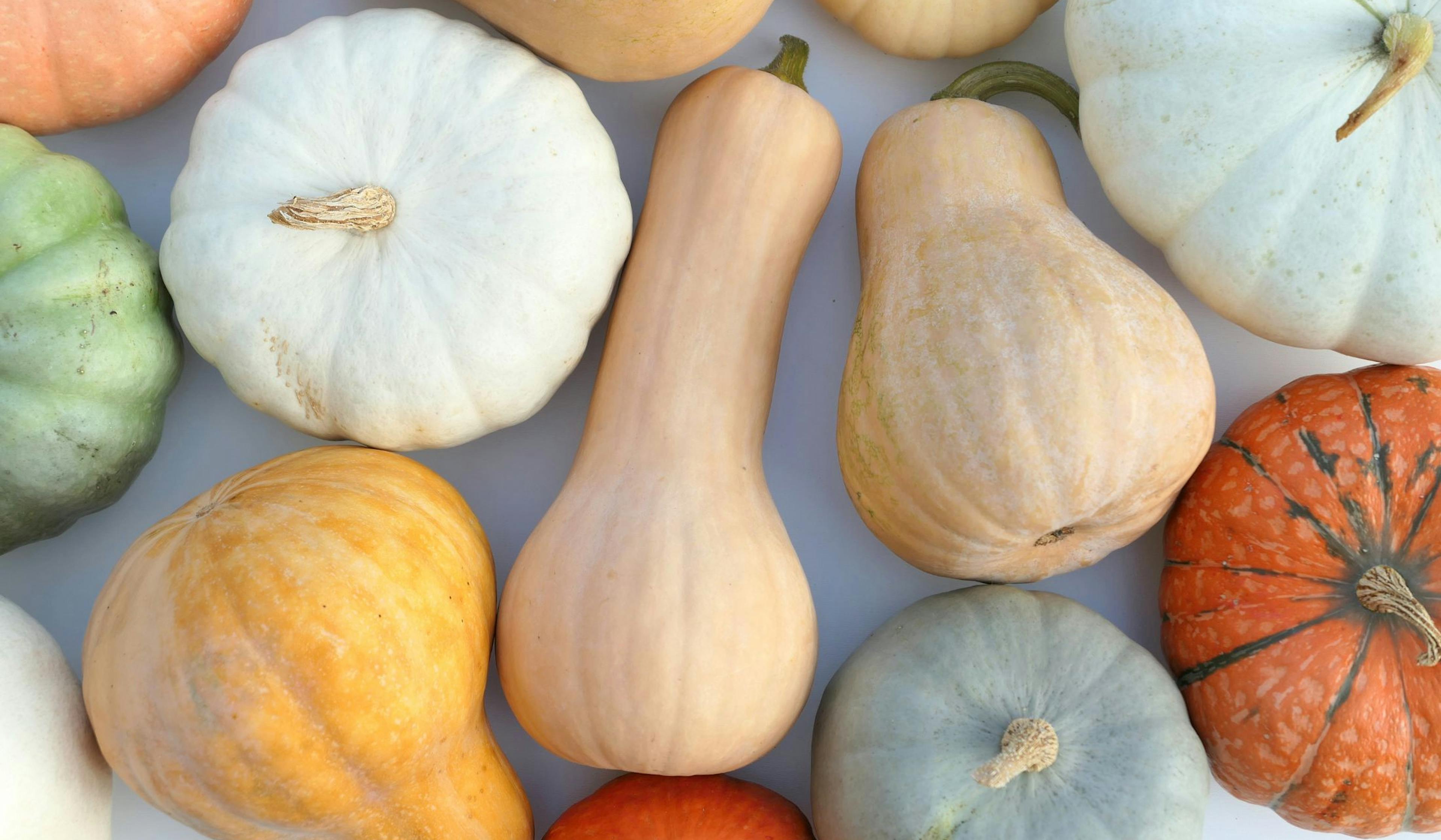 squashes