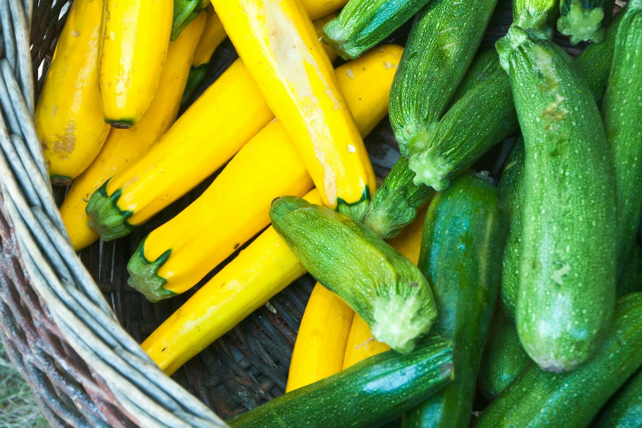 zucchini summer squash