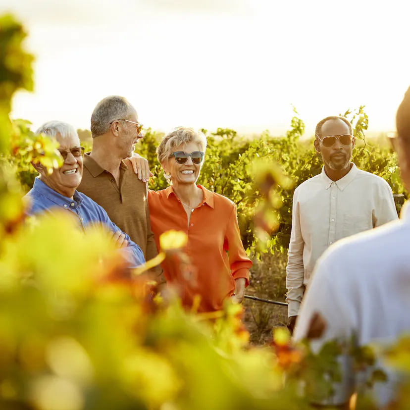 Smiling friends talking in a vineyard