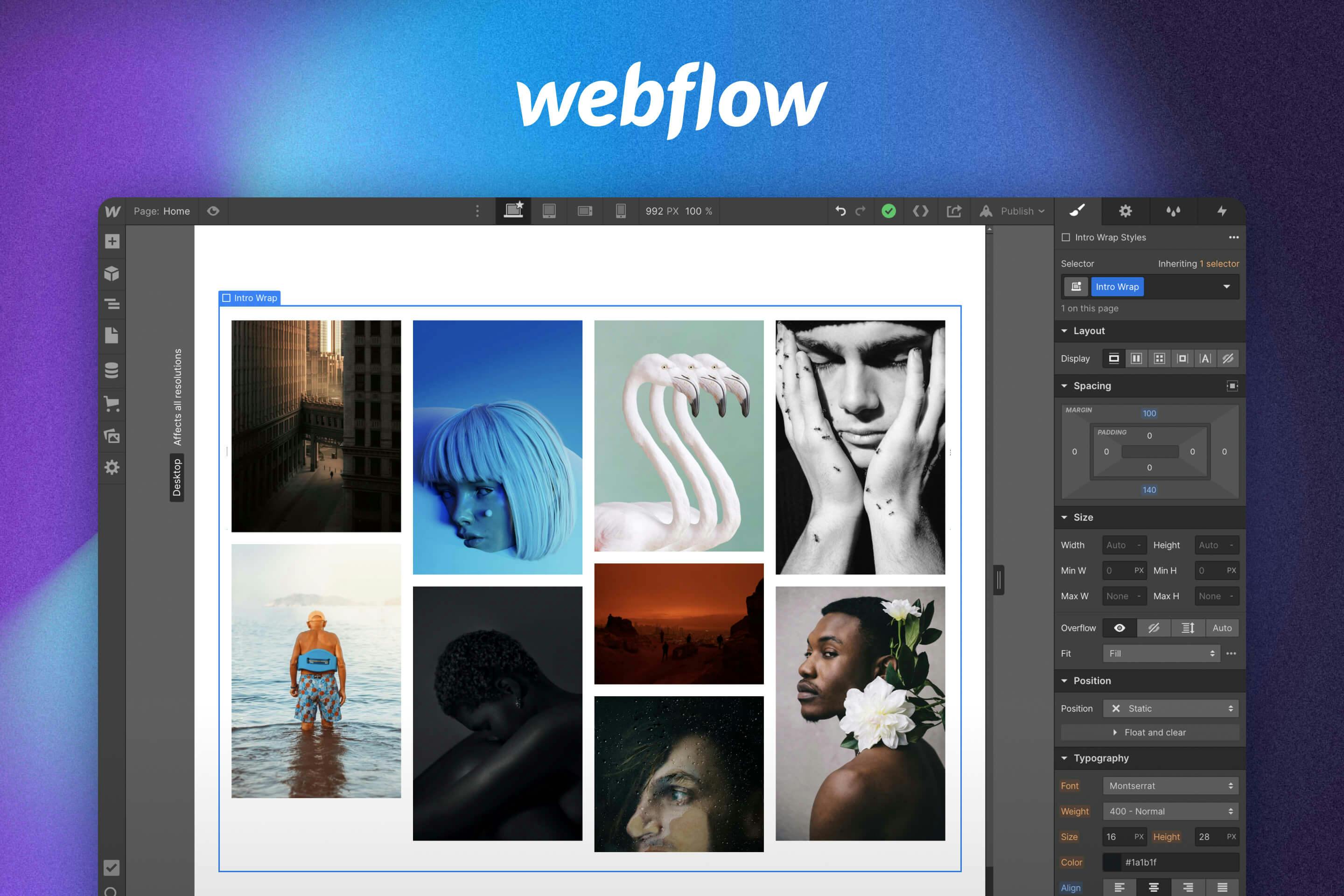 How to Embed a Photo Gallery on Webflow?