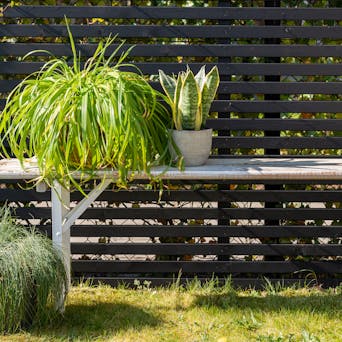 Inklapbare picknickbank Berlijn whitewash