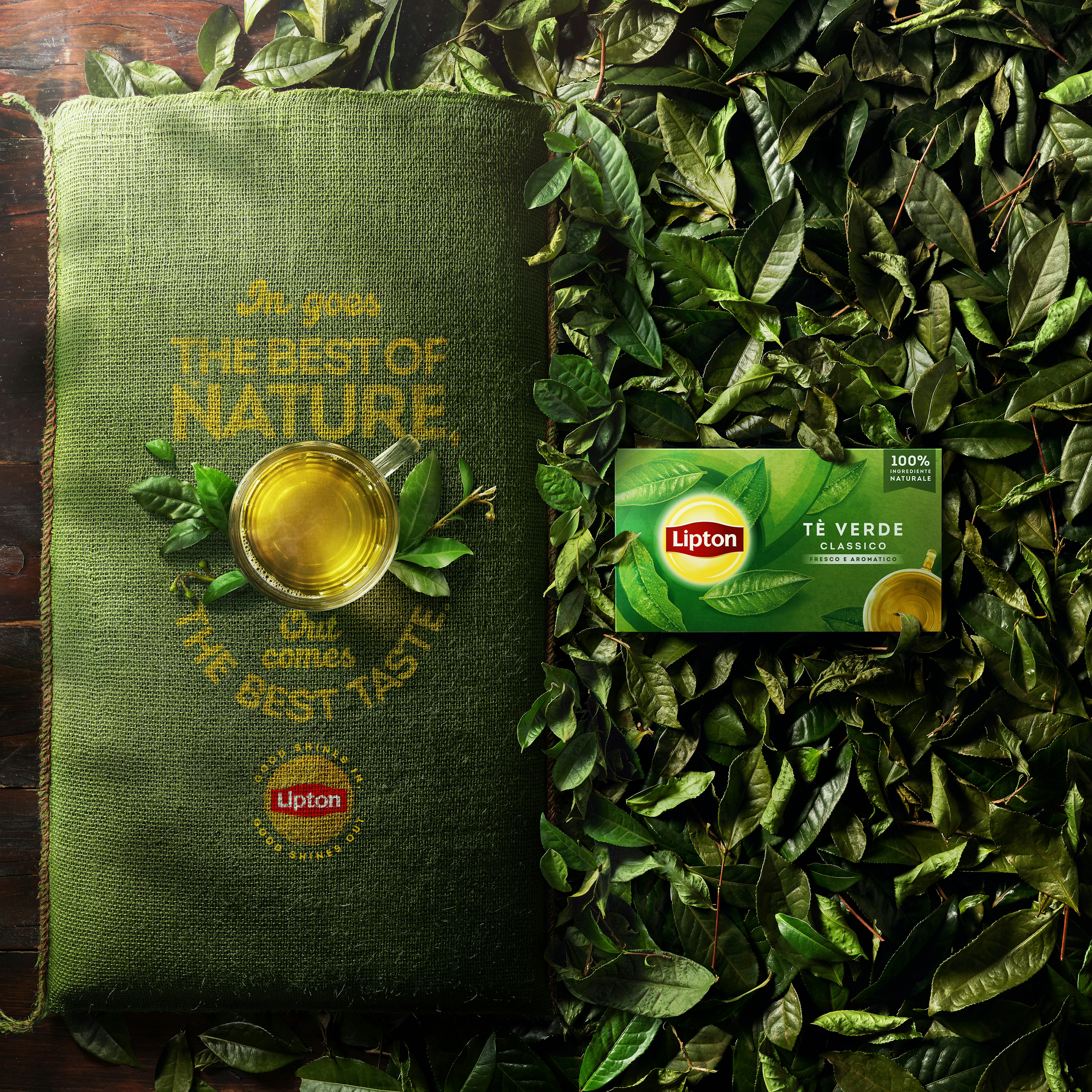 Saco verde de chá Lipton rodeado de folhas com uma xícara de chá em cima e a embalagem ao lado sobre as folhas