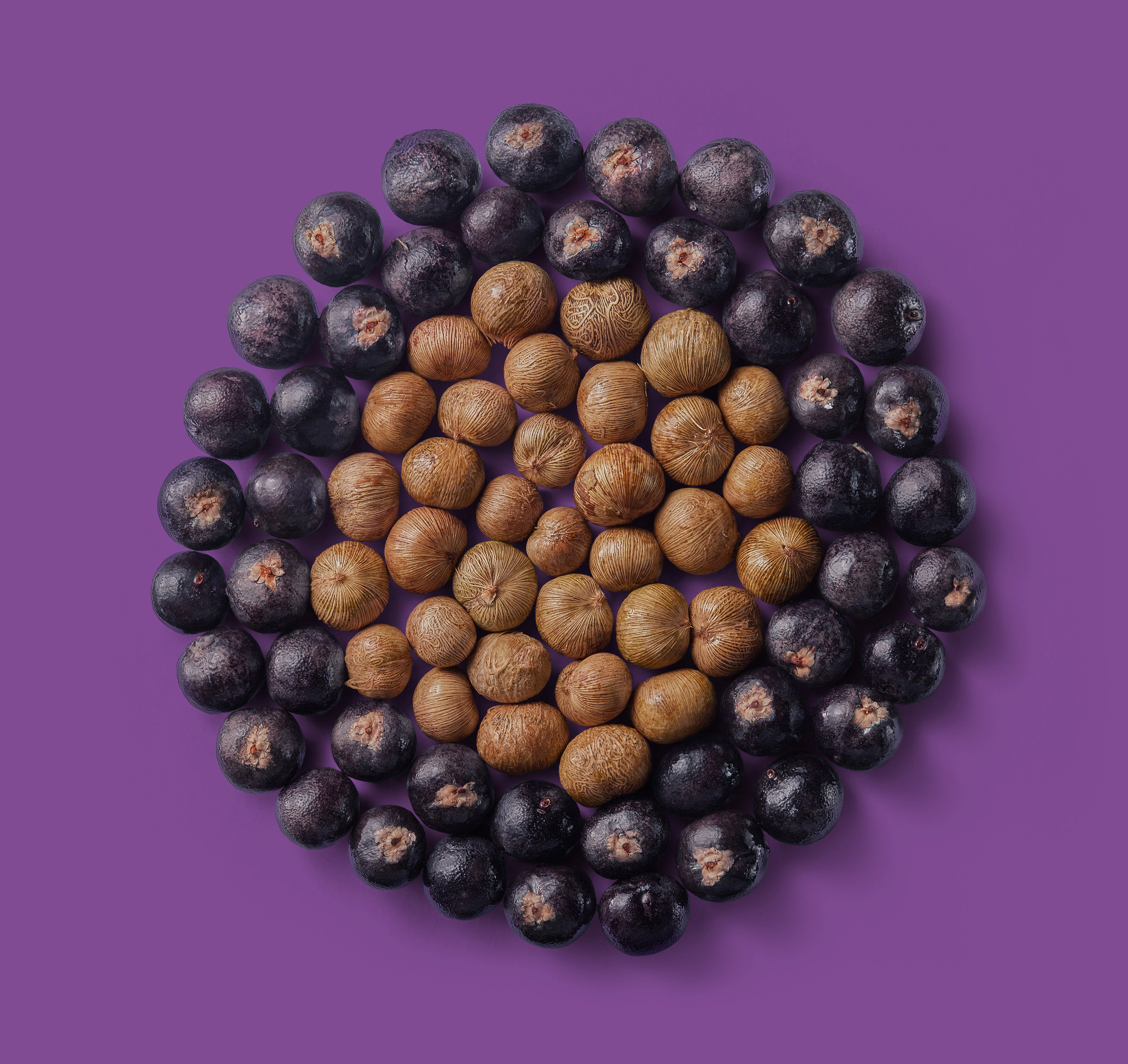 Castanhas em fundo roxo