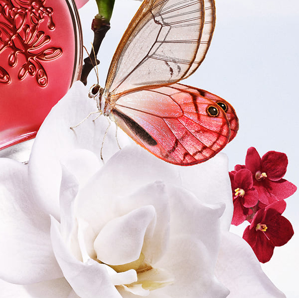 Uma borboleta em cima de uma flor.