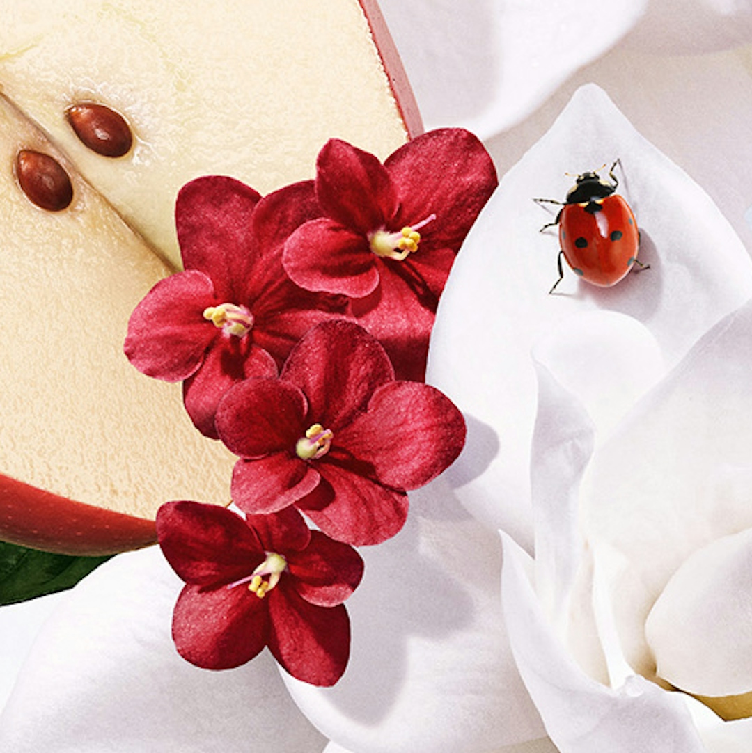 uma joaninha em uma flor branca e uma maçã cortada com flores vermelhas em cima