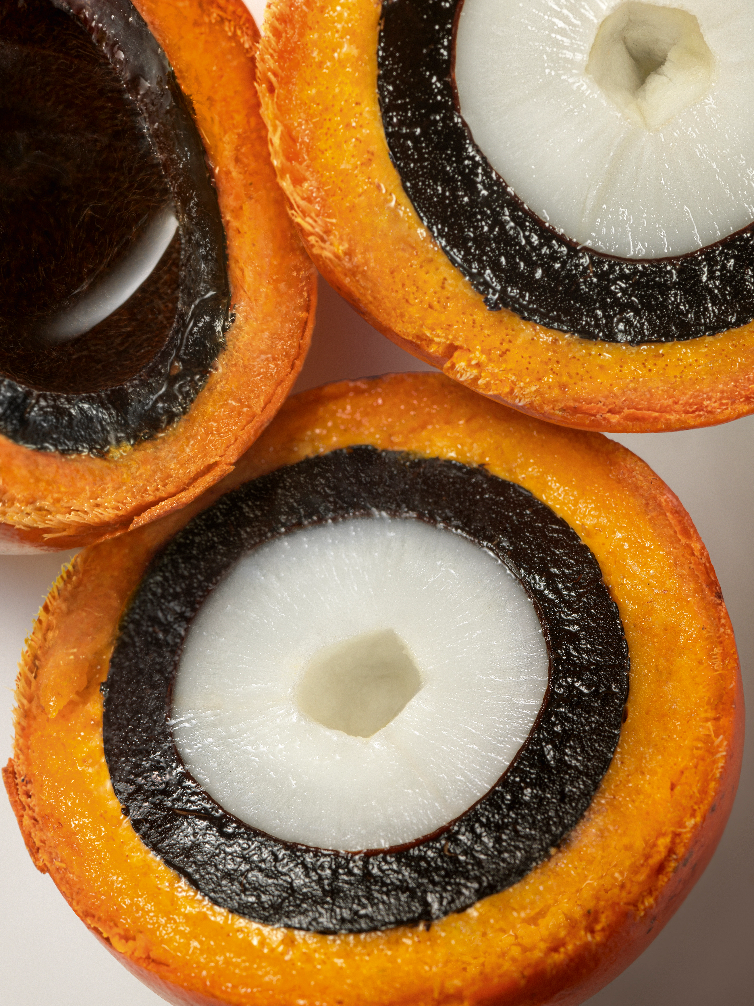 Foto closeup Tukumã