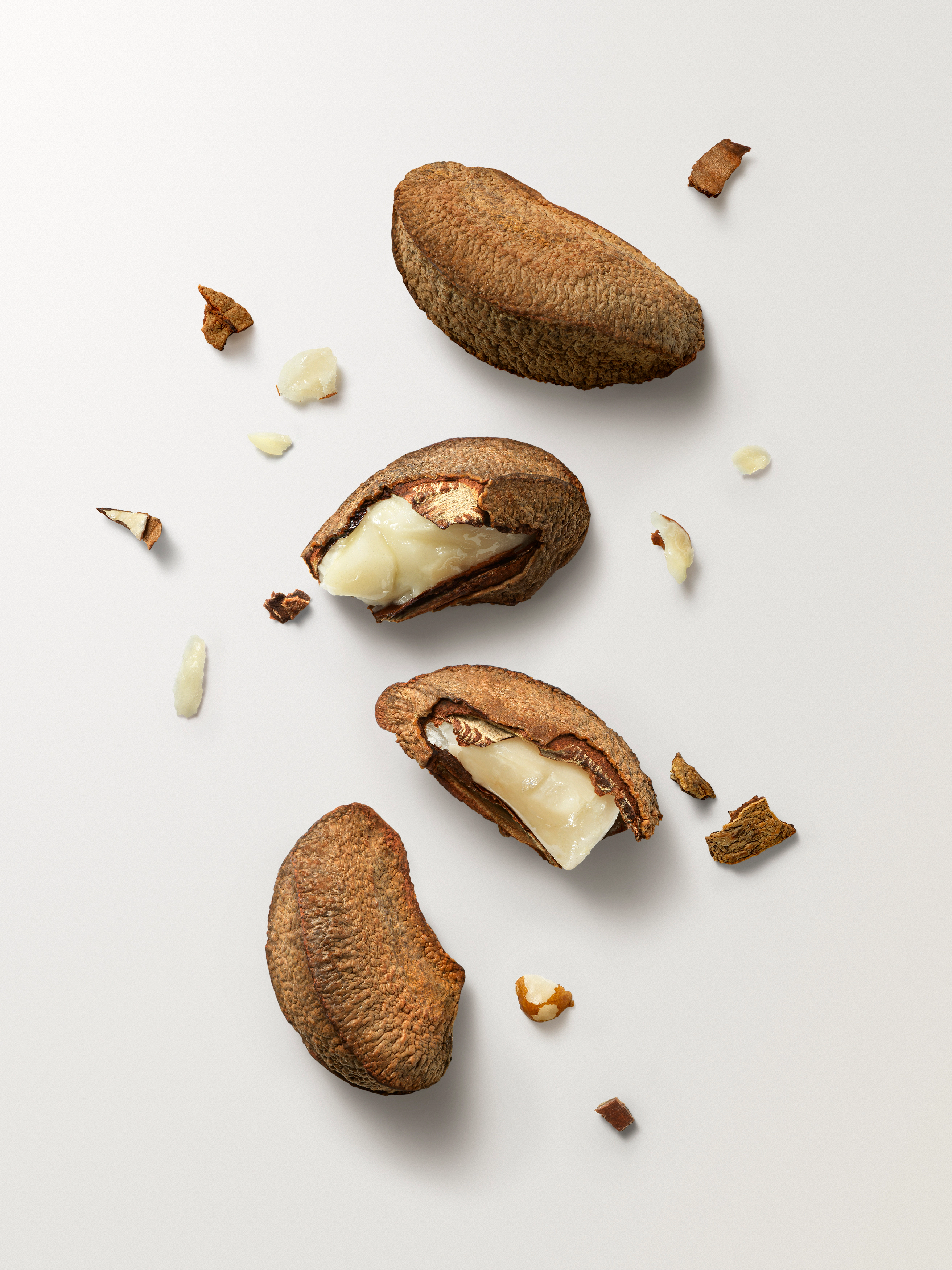 Foto Castanhas do Pará quebradas