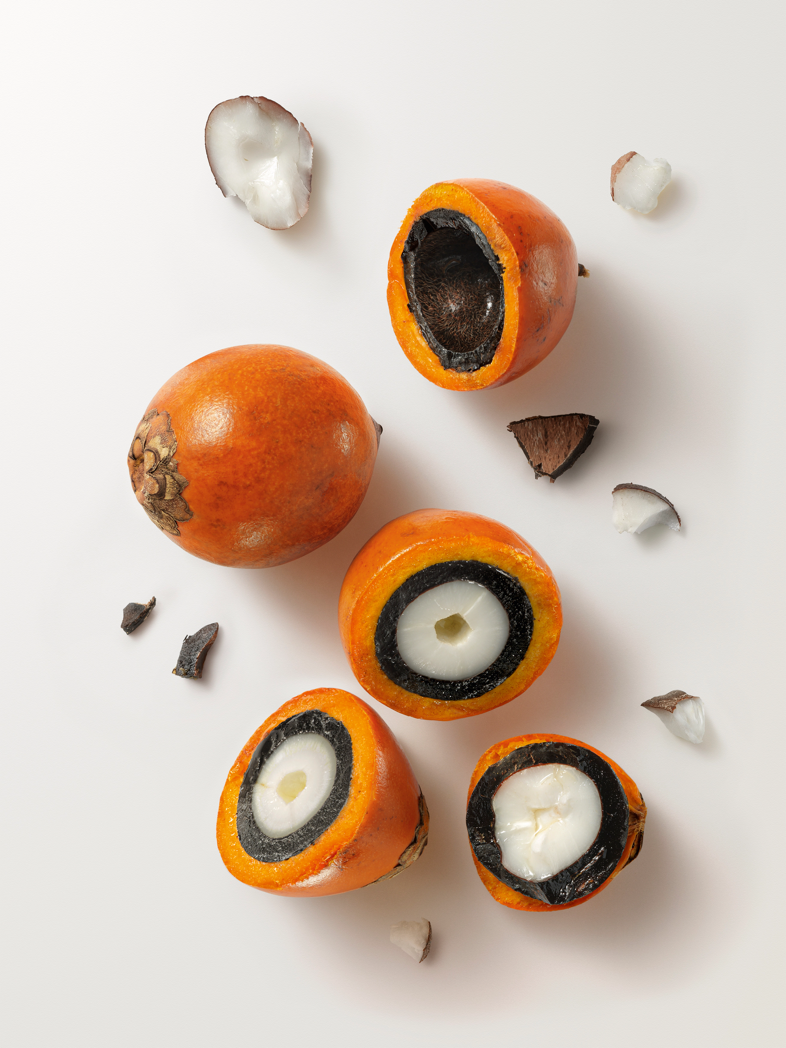 Vários Tukumãs quebrados