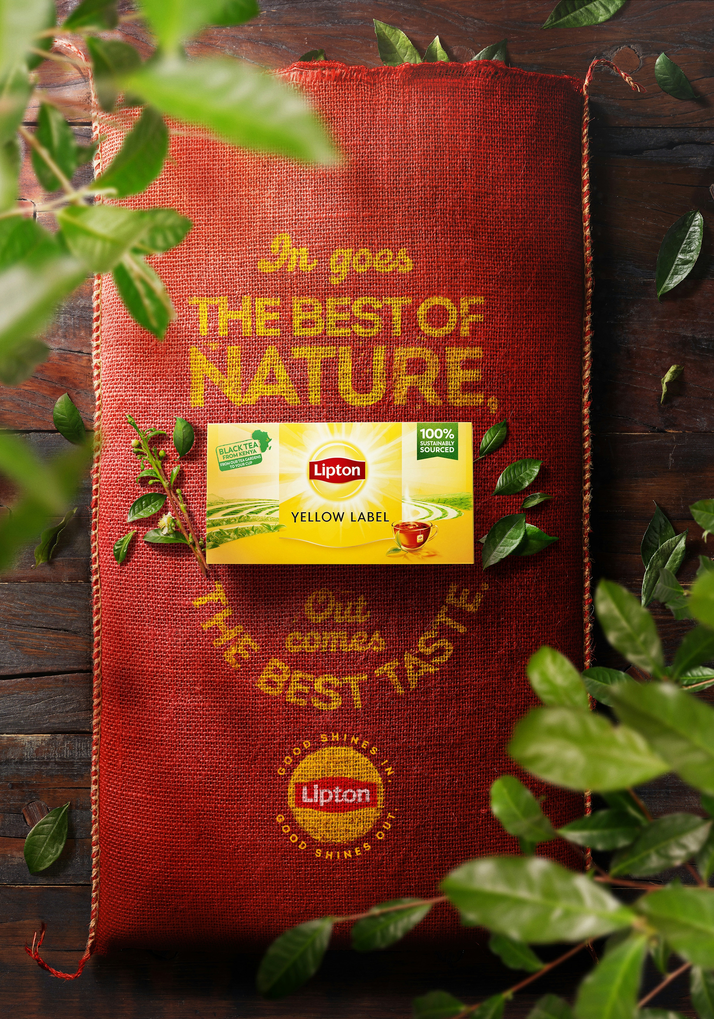 Saco vermelho de chá Lipton rodeado de folhas com a embalagem em cima