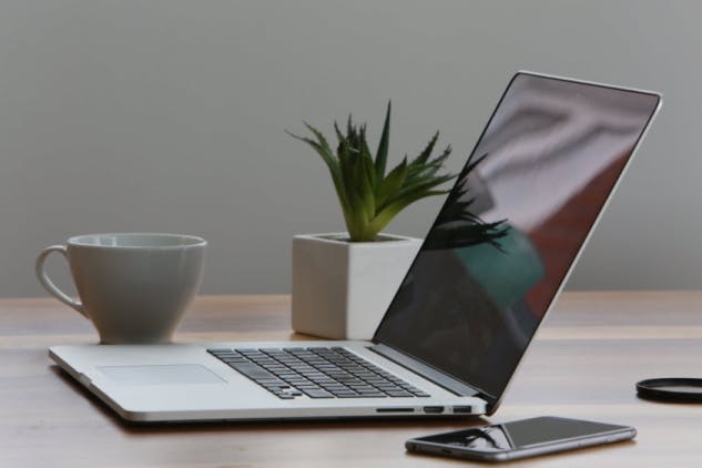 Junior Developer