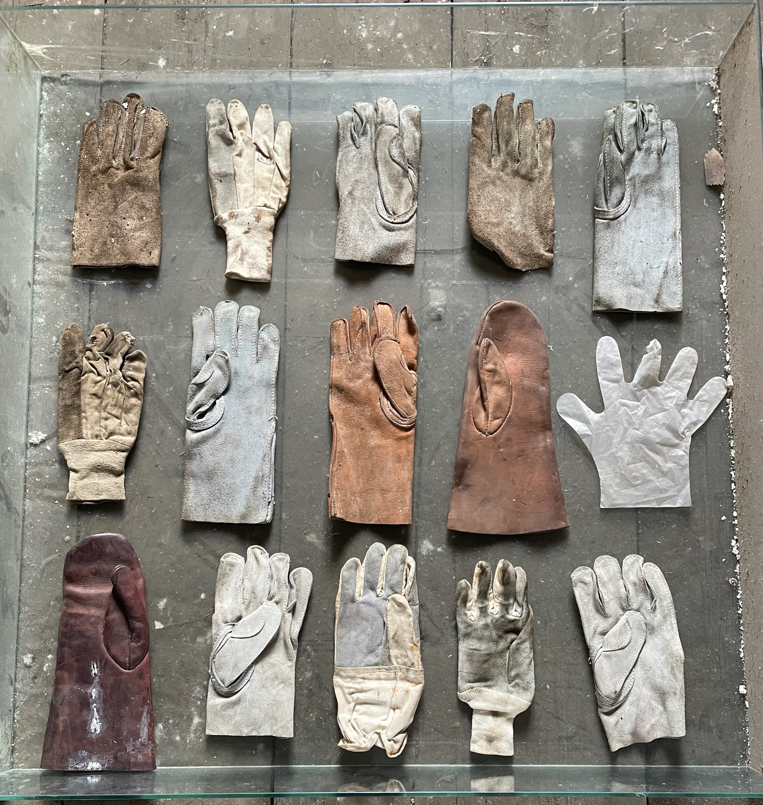 Found work gloves arranged in a glass case