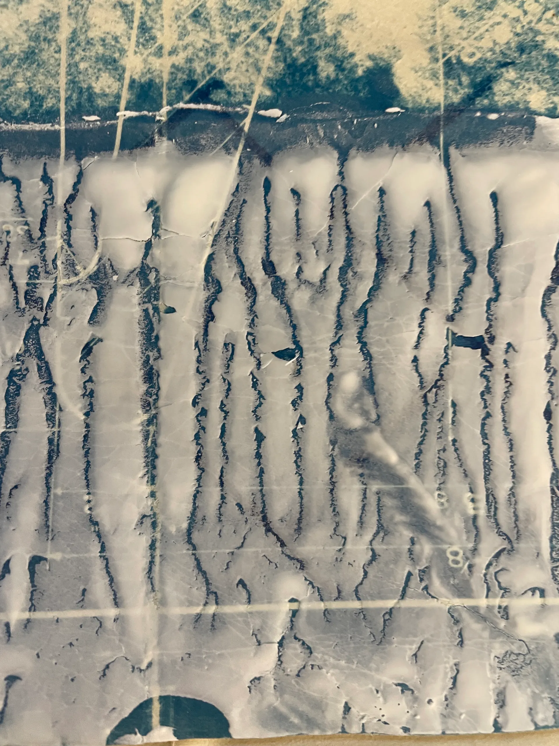 Cyanotype chemistry pooling over plaster