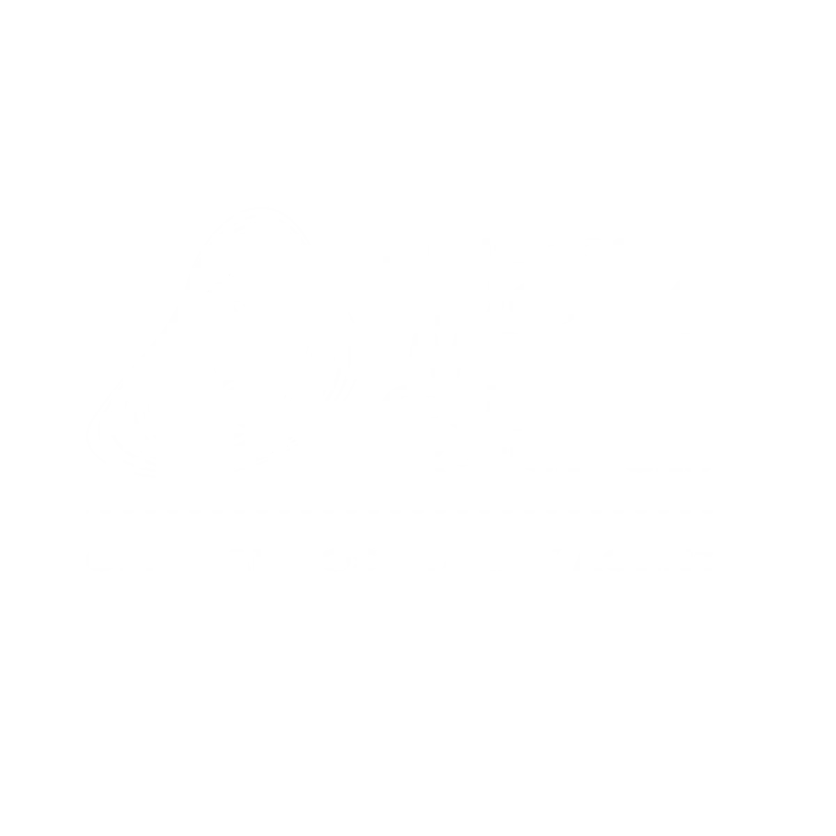 Pitch Experiences | The Home of World Class Experiences