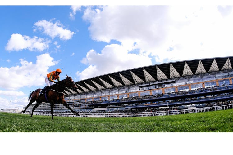 Cheltenham Festival Hospitality