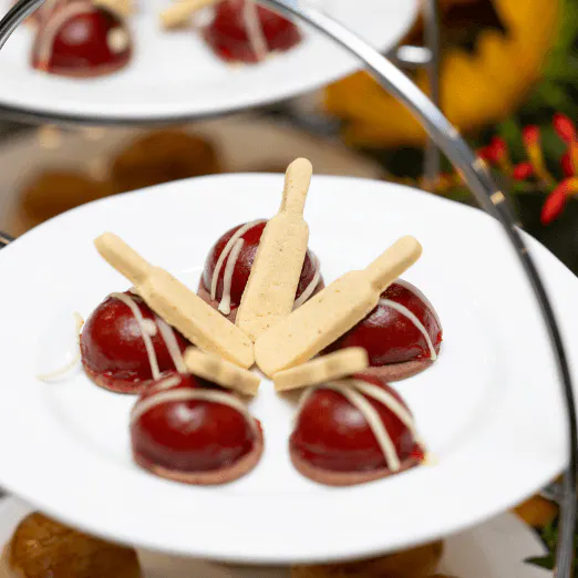 Pitch Experiences | The Home of World Class Experiences