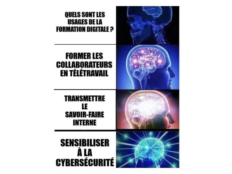 Usages de formation digitale en vidéo en entreprise