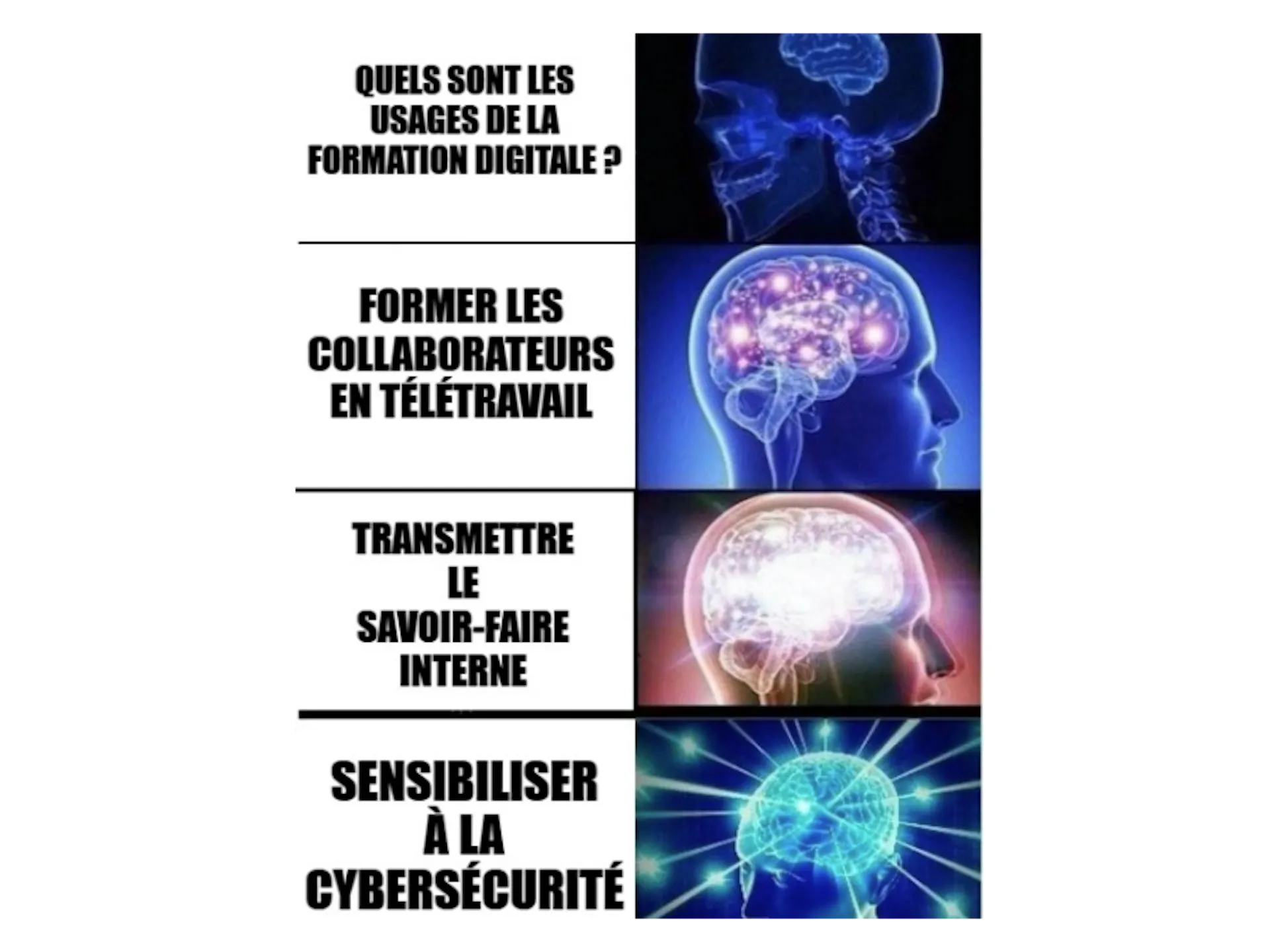 Usages de formation digitale en vidéo en entreprise 