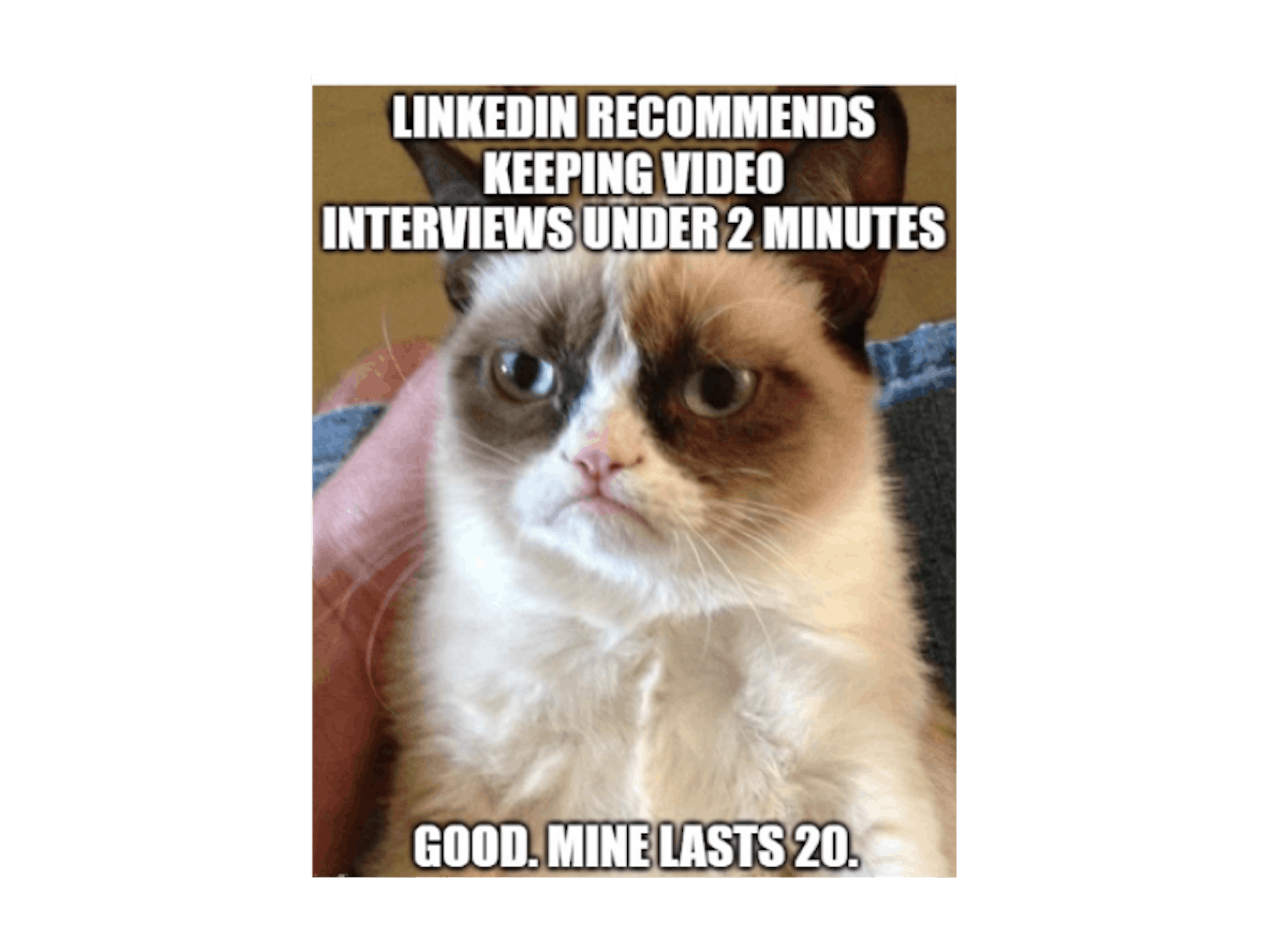 social media format - meme