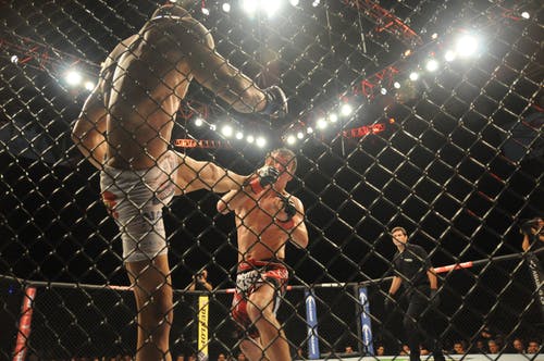 UFC 287