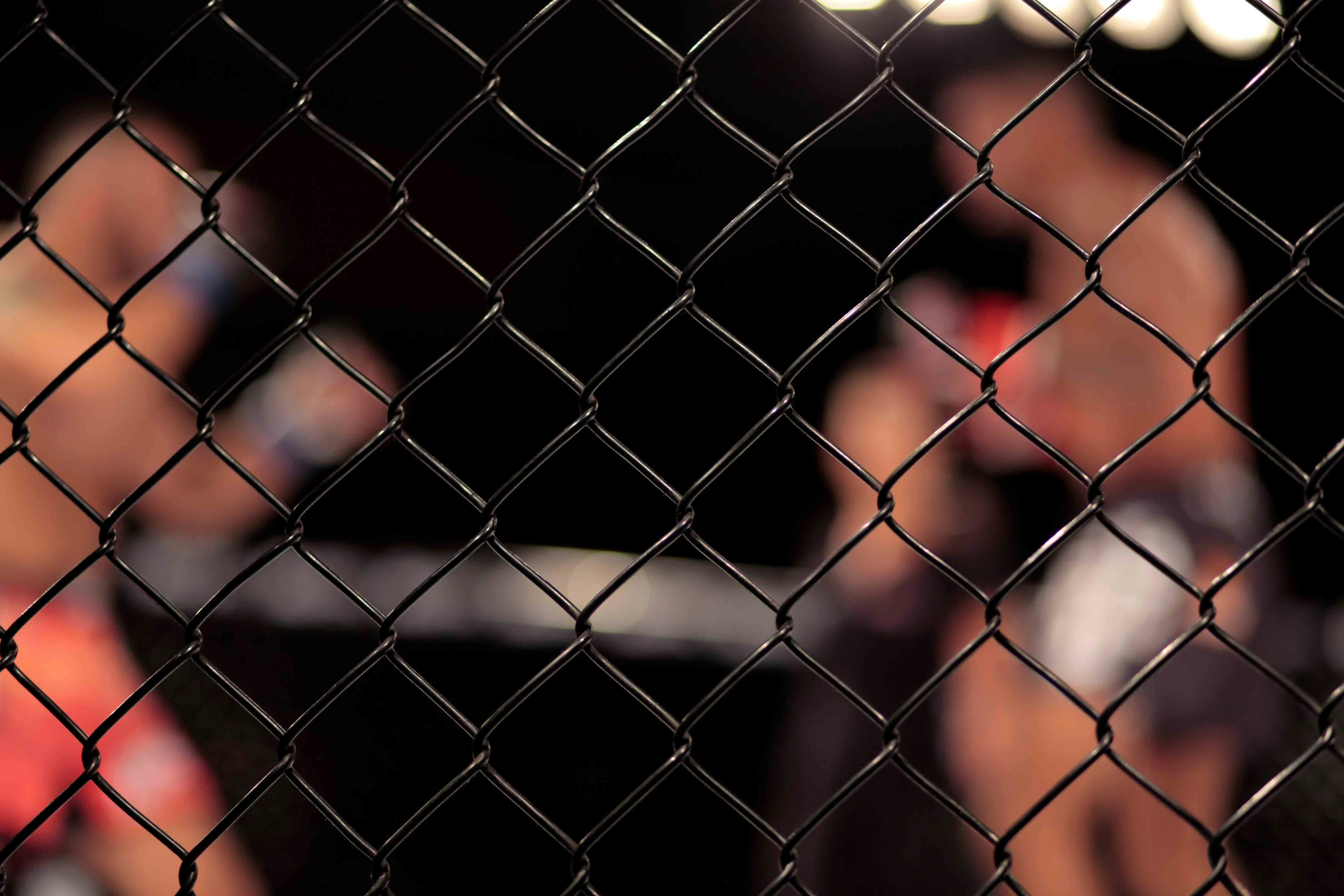 UFC 317: Topuria vs. Oliveira