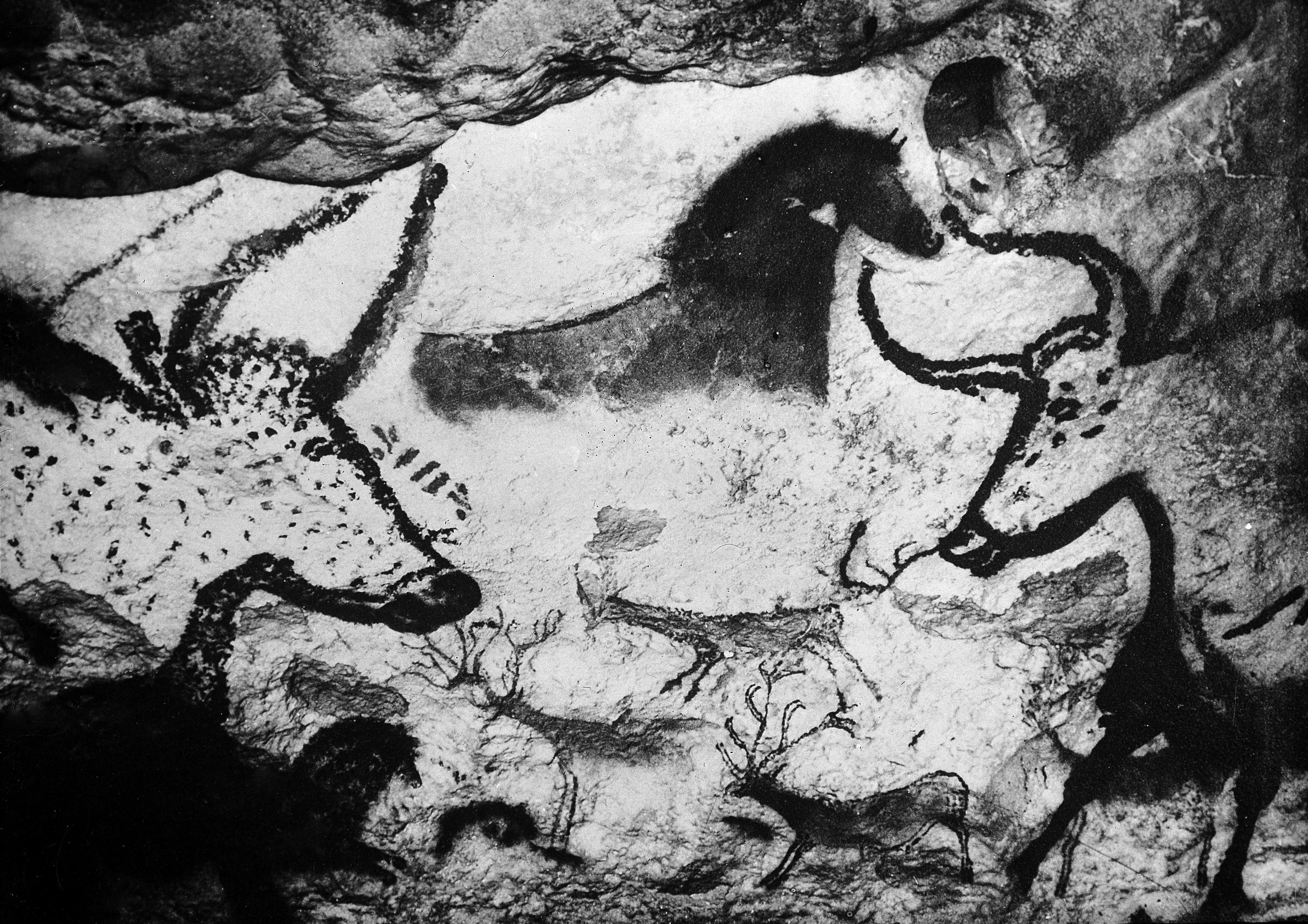 Cave painting of animals 