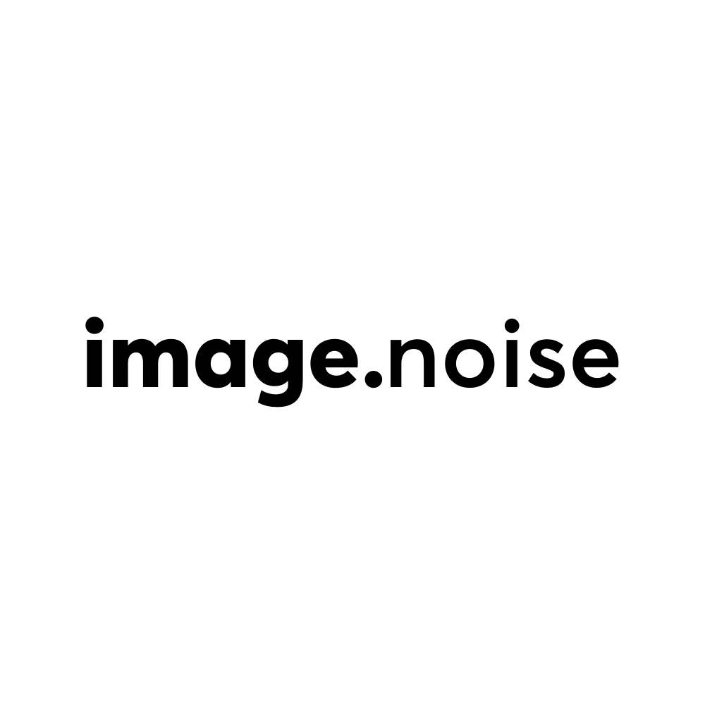Text reading 'image noise'