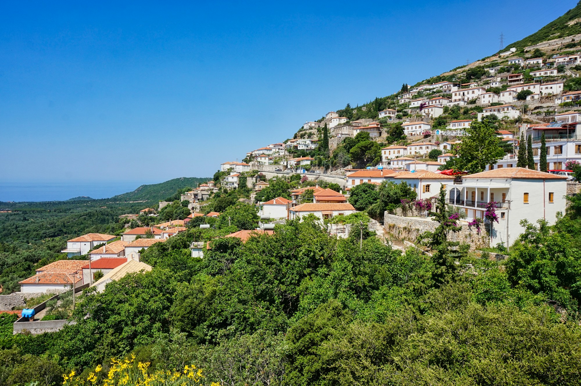 A village on a hill surrounded by trees