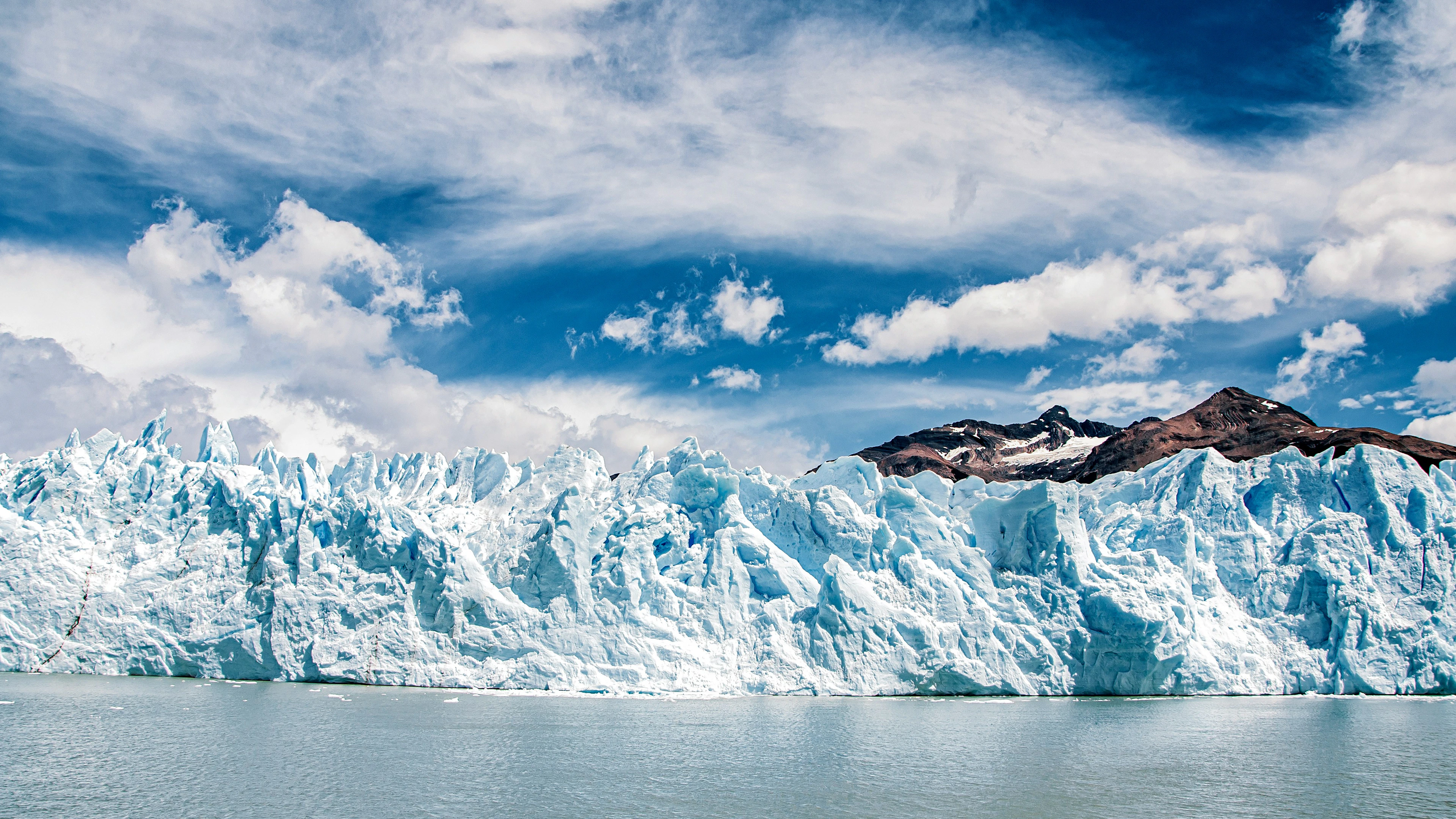 Argentine