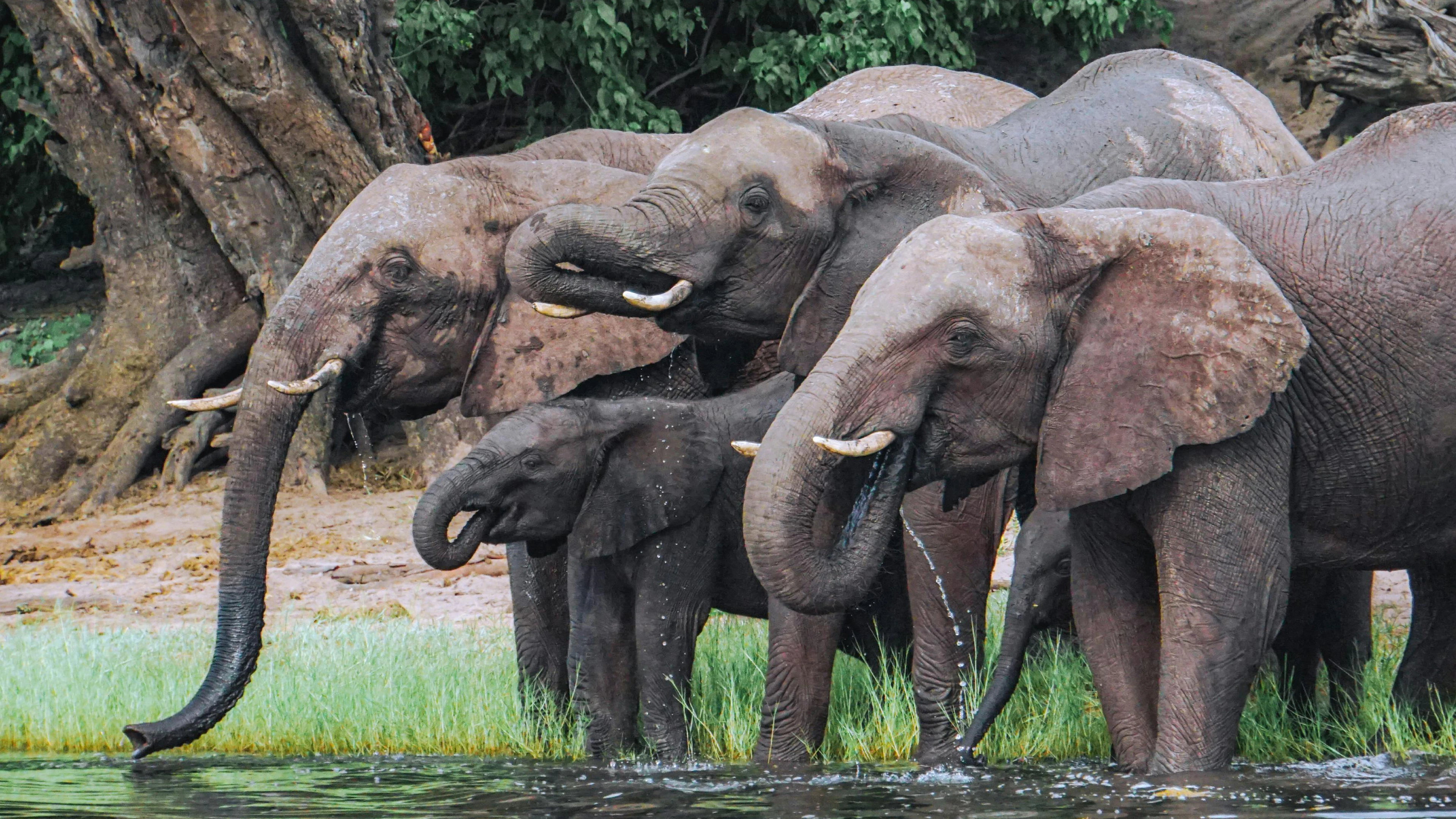 Botswana