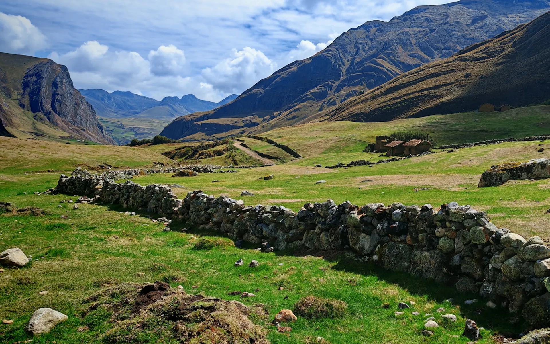 A stone wall in the middle of a grassy field
