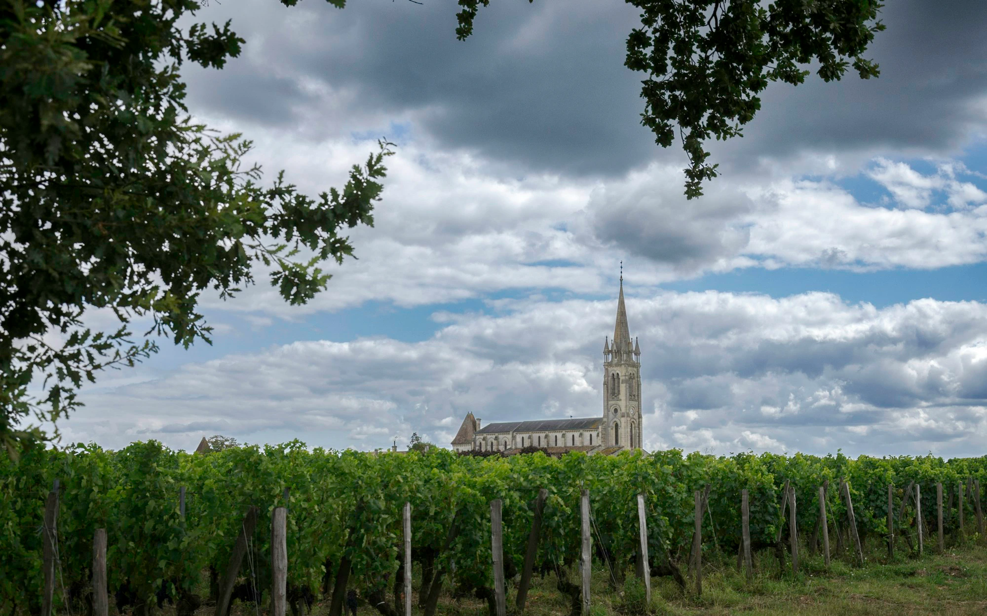 a large church tower towering over a lush green field