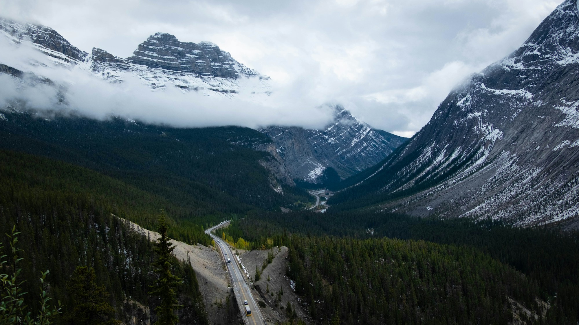 landscape photo of a winding road in a forest