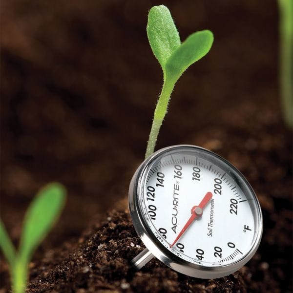 An analog thermometer reading of soil temperature