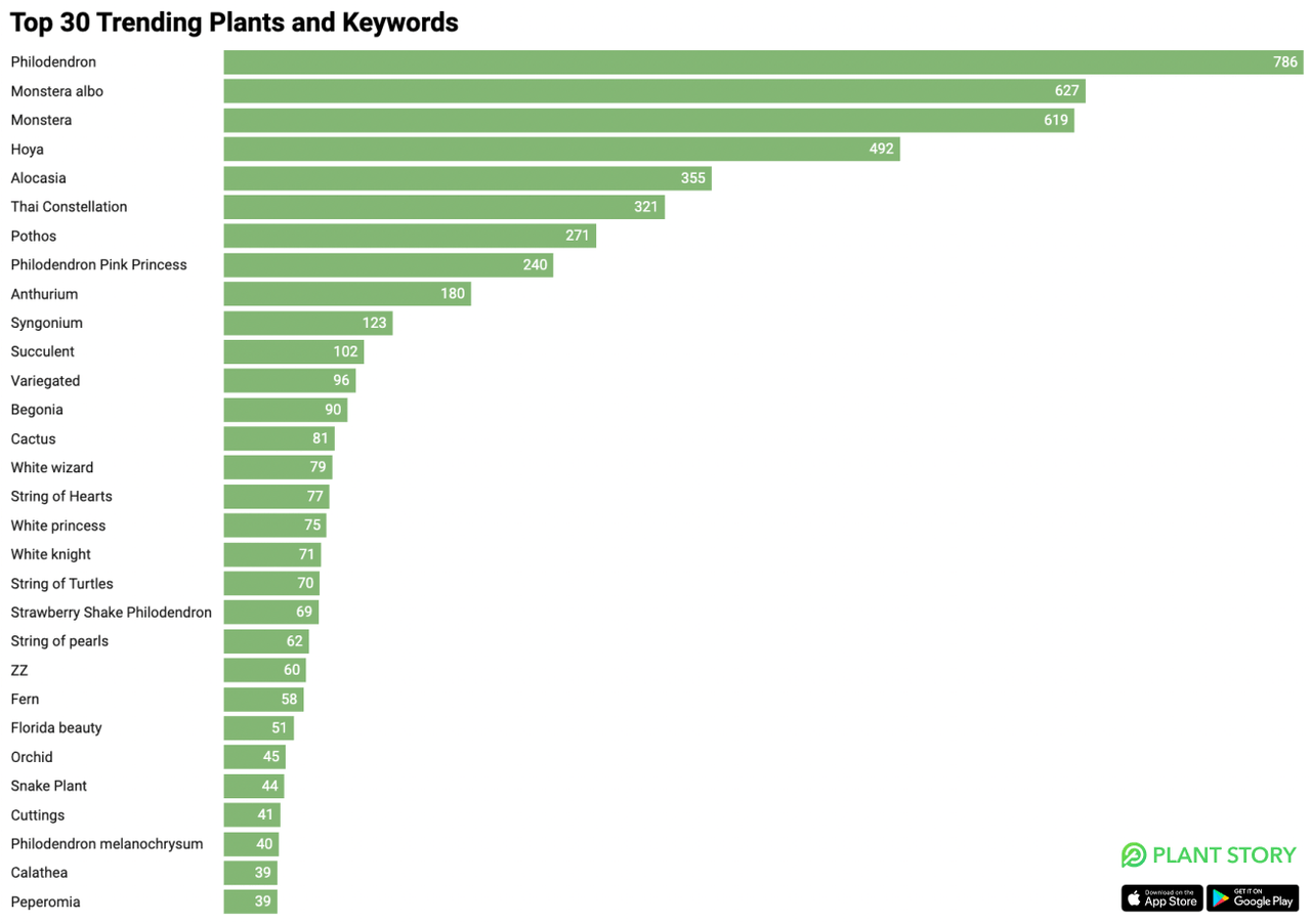 Top 30 Trending Plants on Plant Story App ｜ Boost Your Plant Sales with