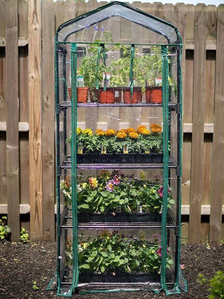 Portable greenhouse