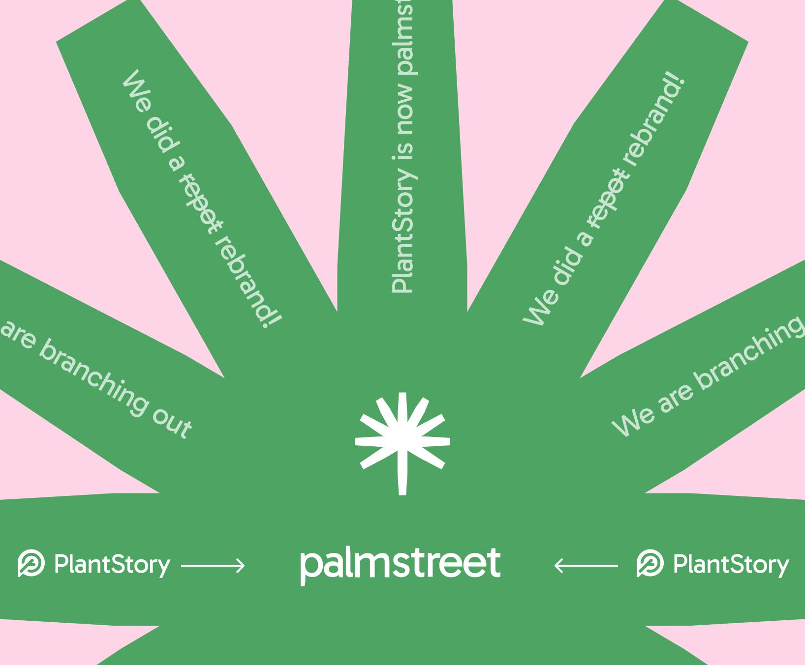 we-are-rebranding-to-palmstreet