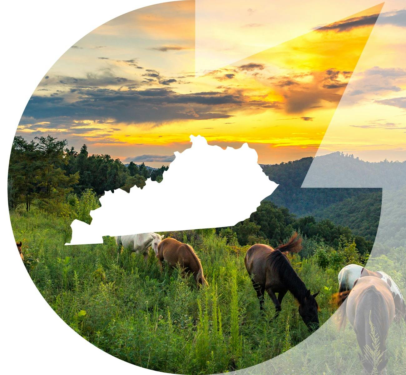 Kentucky