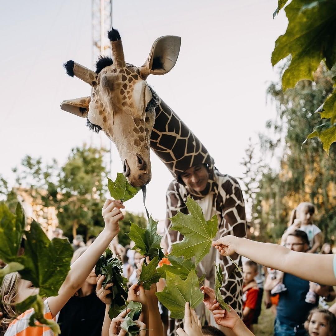 People feeding a giraffe some leaves 