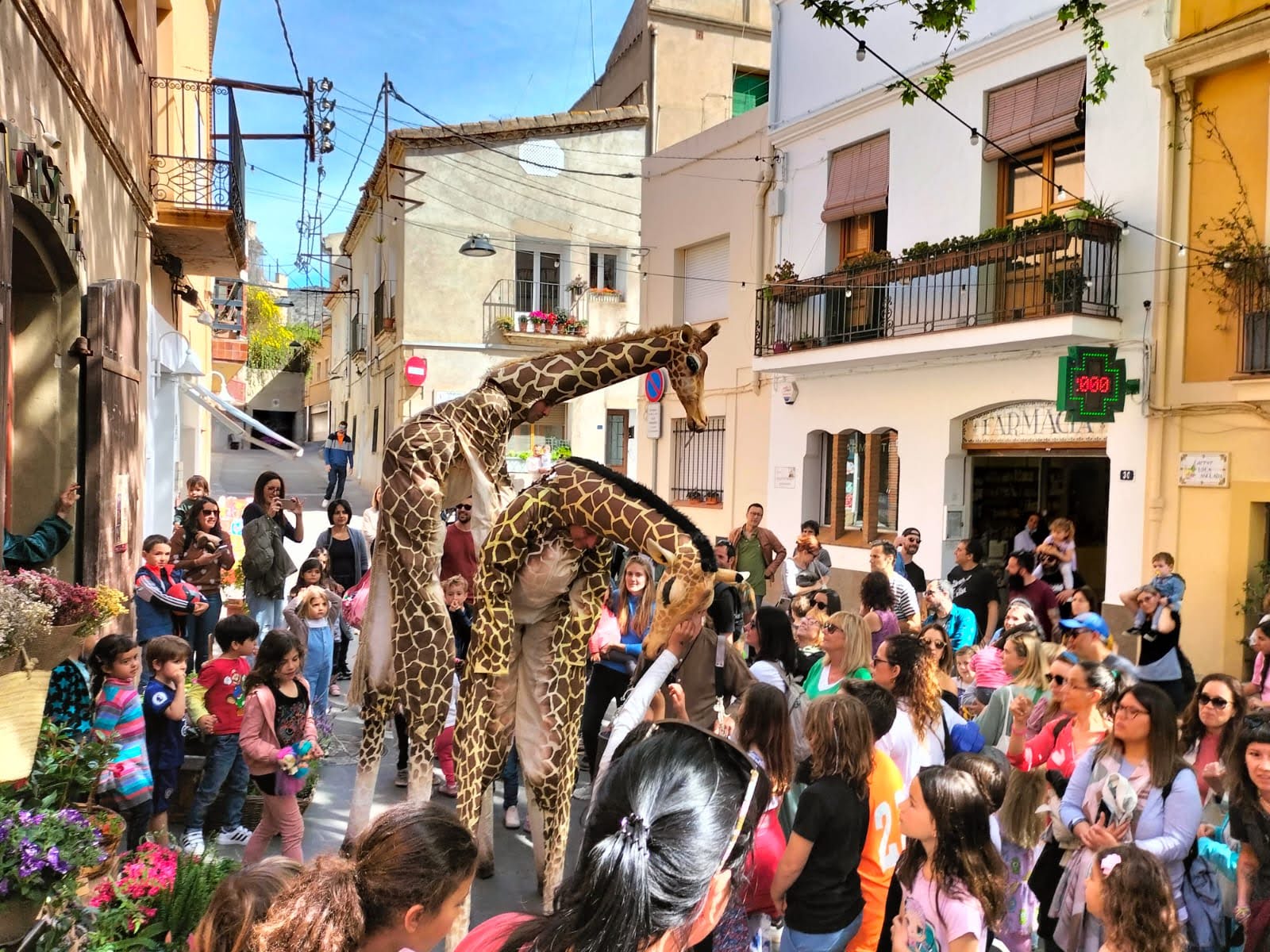 Two giraffes are walking through a street filled with people 