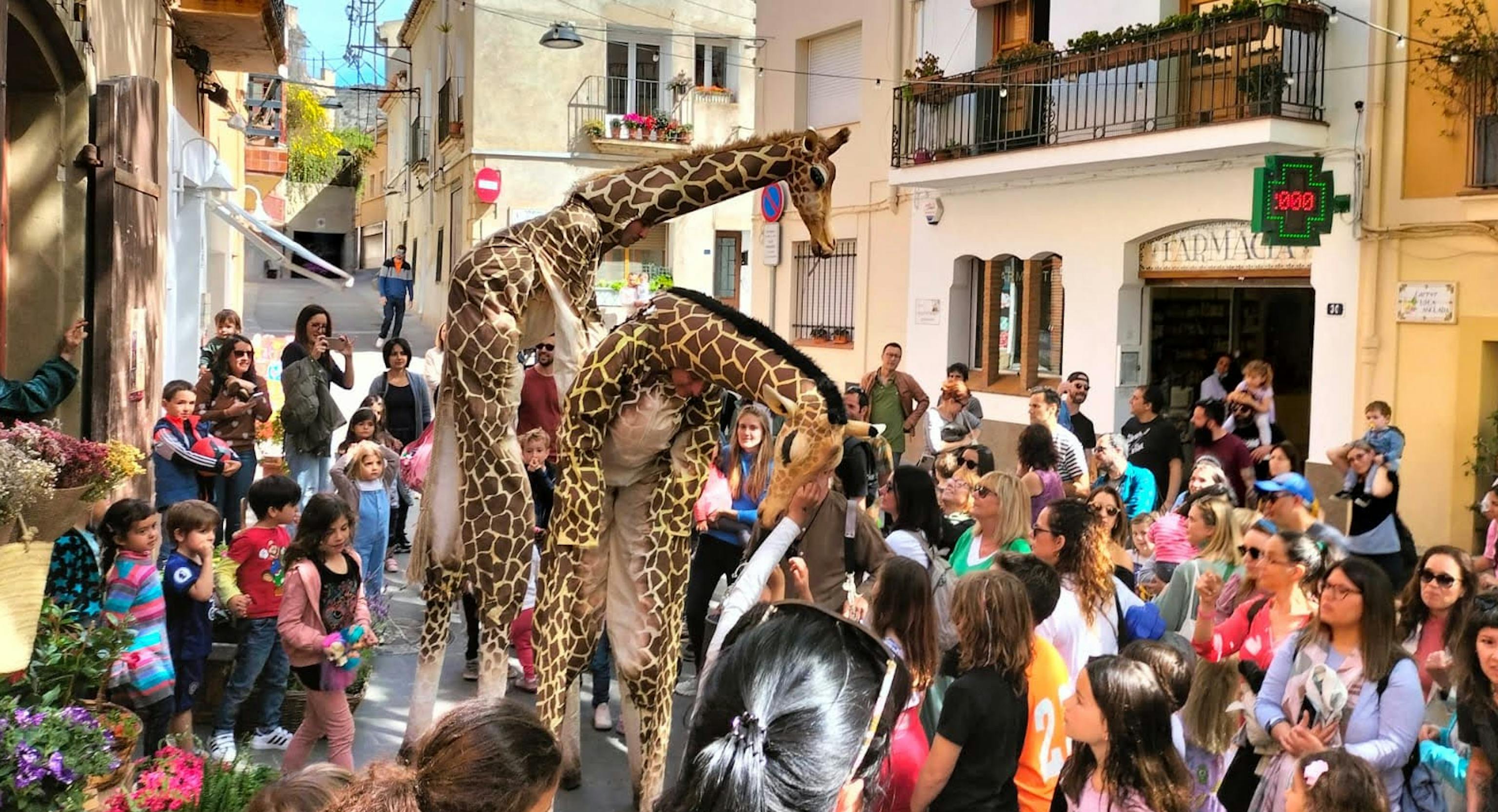 Two giraffes are walking through a street filled with people