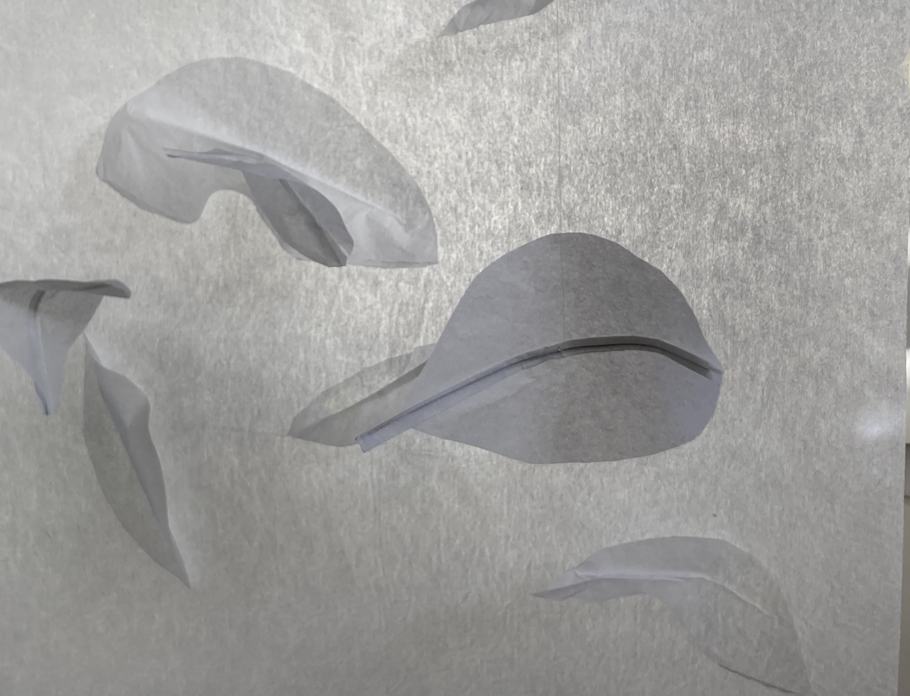 White paper feathers 