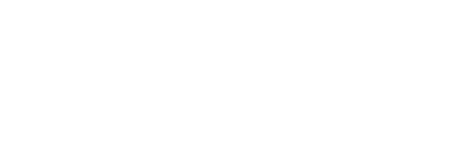Holmusk
