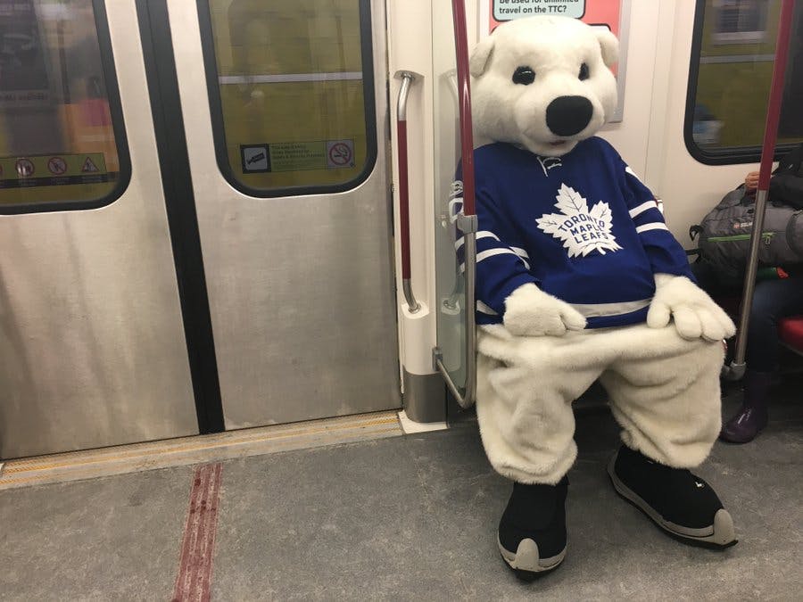 Toronto Maple Leafs mascot, Carlton Bear