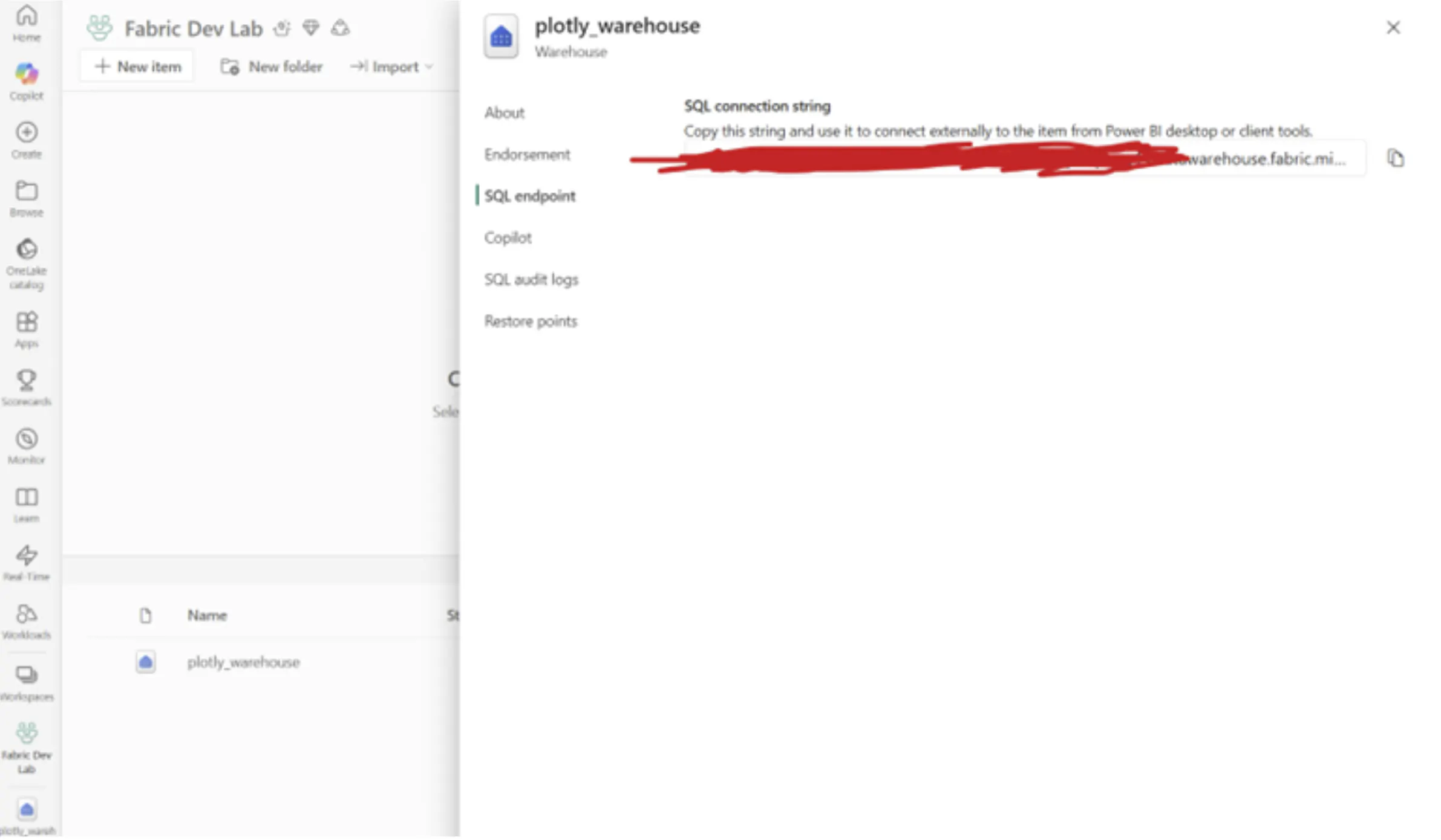 Fabric item settings showing the SQL endpoint