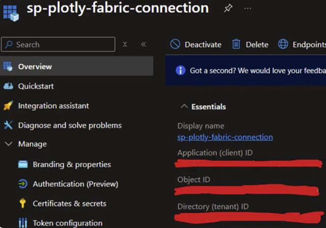 App overview page with Client ID and Tenant ID highlighted