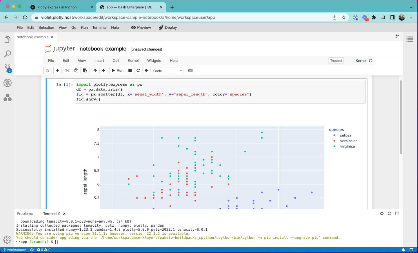 Jupyter notebooks